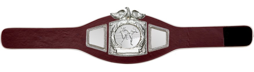 PROEAGLE THAI BOXING CHAMPIONSHIP BELT - PROEAGLE/S/TBOS - AVAILABLE IN 6+ COLOURS PROEAGLE THAI BOXING CHAMPIONSHIP BELT - PROEAGLE/S/TBOS - AVAILABLE IN 6+ COLOURS